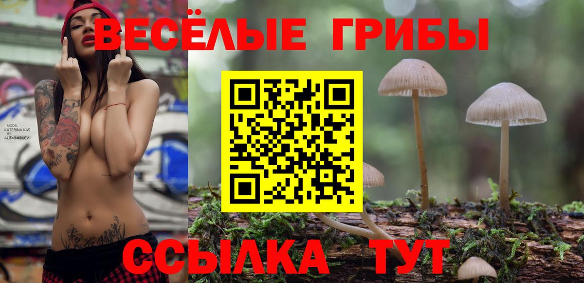 Галлюциногенные грибы Cubensis  Вход с VPN  Анапа 